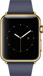 Apple Watch Edition - 42mm